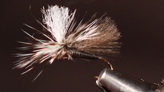 Dean Reiner: CDC Parachute Caddis