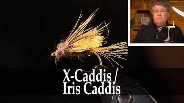 X-Caddis / Iris Caddis - Rick Wollum