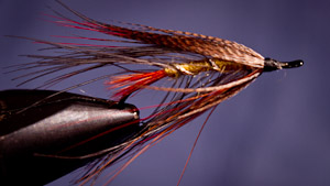 Rocky Maley: Lady Caroline