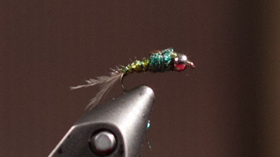 Boots Allen: Quick Descent Baetis Nymph