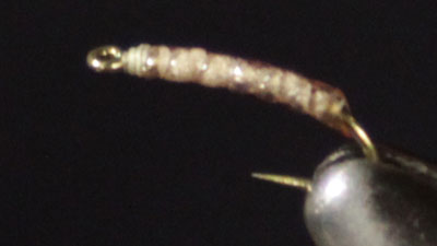 Rick Wollum: Wollum Worm