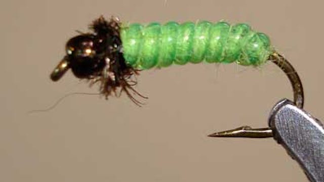 Bob Jacklin: Green Caddis Rock Worm