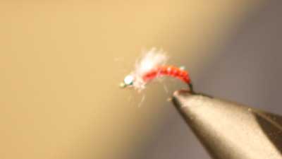 Willy Self: Willy's Laser Midge