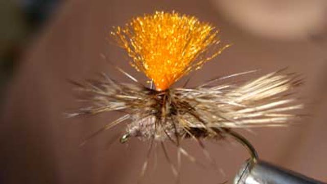 Dave Bloom: Bloom's Emergent PMD Nymph