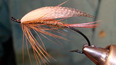 Dave Tucker: Lady Caroline