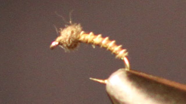 Rick Wollum: Krystal Flash Chironomid