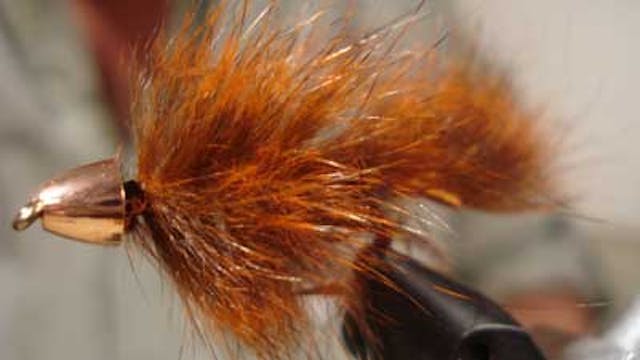 Charles Barton: Pinecone