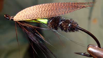 Dave Tucker: Green Hornet