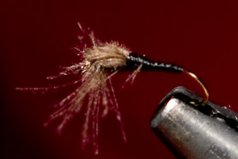 Dandy Reiner: CDC Spent Wing Midge