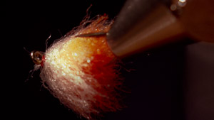 Ken Burkholder: Veiled Egg