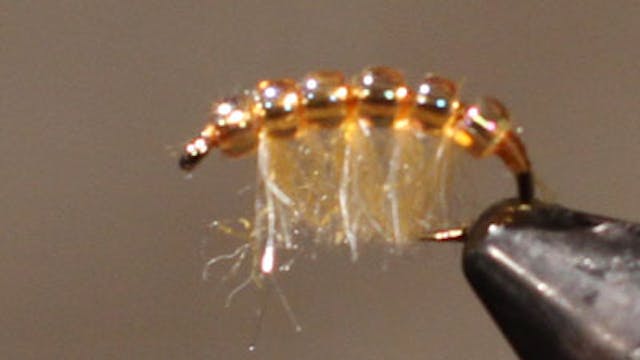 Jesse Riding: Rainy's Bead Back Scud