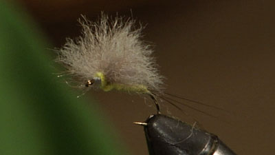 Josh Stanish: Bunny Dun