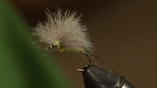 Josh Stanish: Bunny Dun