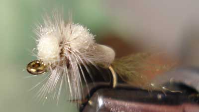 Tim Tollet:  Smidget