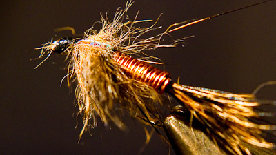 Willy Self: Willy's Wired Squirrel