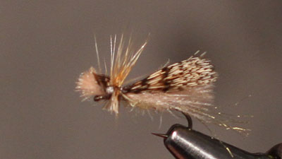 Ben Byng: CDC Caddis