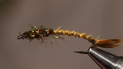 Ben Byng: Damsel Lite