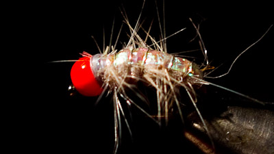 Dave McKee: Firebead Scud