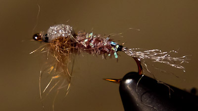 Kieran Frye: KC's Foam Back Emerger
