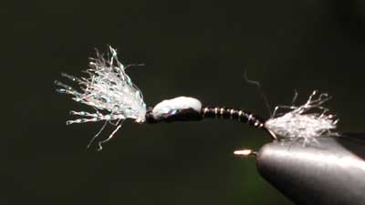 Tyler Dimond: Dimond Midge