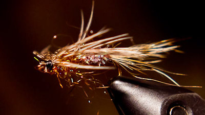 Kieran Frye: KC's Woodchuck Nymph