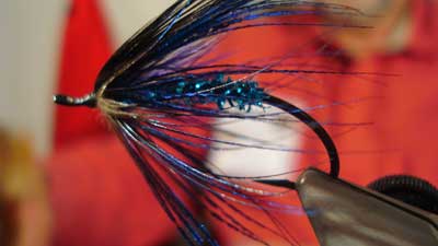 Kenly Bitton: Peacock Blue