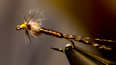 Willy Self: Willy's Rubber May