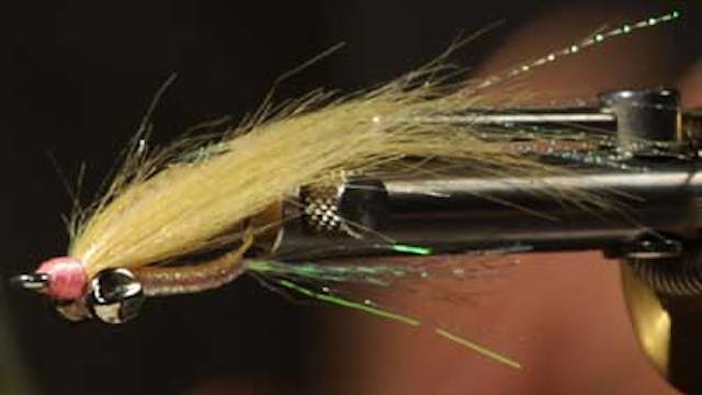 Dave Bloom: Leadeye Gotcha