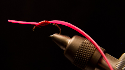 Willy Self: T-Rex Worm