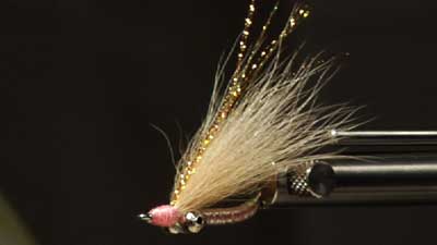 Dave Bloom: Foxy Charlie