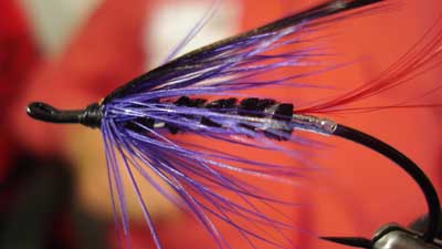 Kenly Bitton: Night Dancer