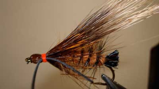 Bob Jacklin: Giant Salmon Fly