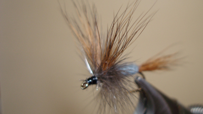 Bob Jacklin: Grey Wulff