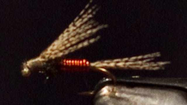 Dave McKee: Dave's Emerger