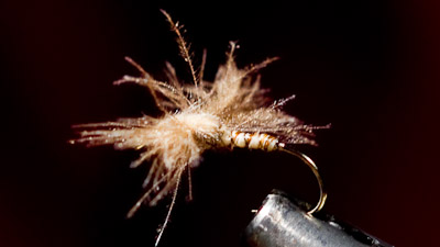 Dandy Reiner: Spentwing CDC Caddis