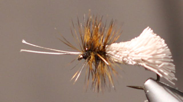 Steve Potter: Goddard Caddis