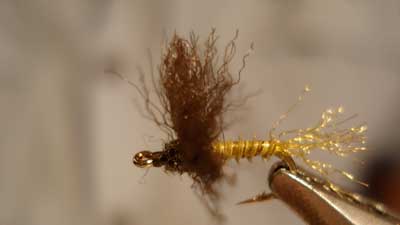 Josh Stanish: Downy Dun