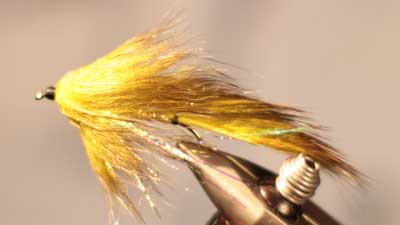 Willy Self: Willy's Crazy Rabbit