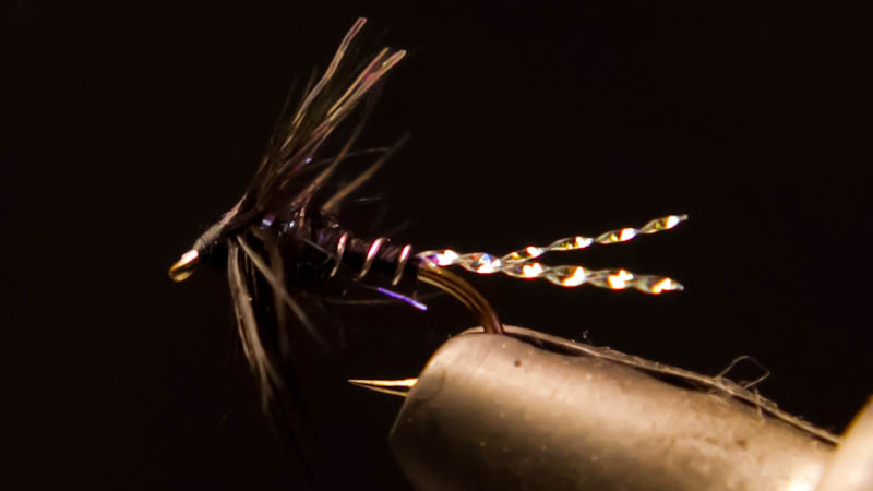 Willy Self: Da Midge