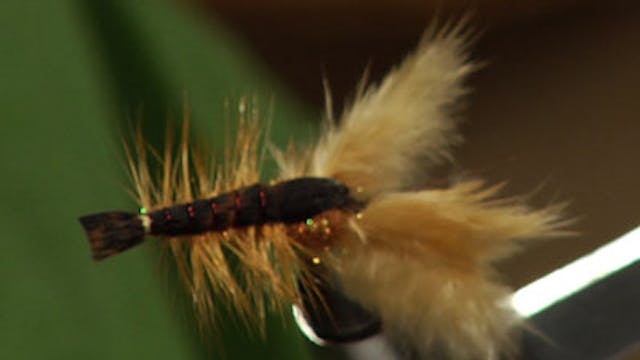 Josh Stanish: Biggie's IC Crayfish