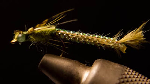 Doug McKnight: Road Warrior Damsel