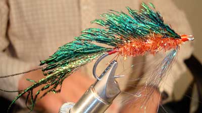 Boots Allen: Peacock