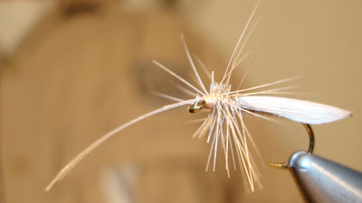 Jay Buchner: Jay's Dun Caddis