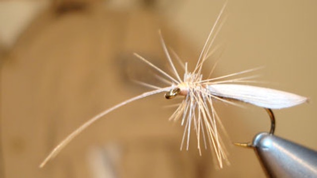 Jay Buchner: Jay's Dun Caddis