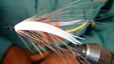 Dave Tucker: Purple Akroid