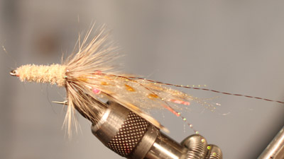 Doug McKnight: Whisper Shrimp