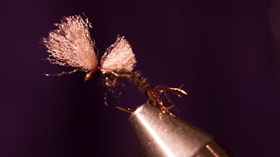 Ken Burkholder: Burkus Baetis Emerger