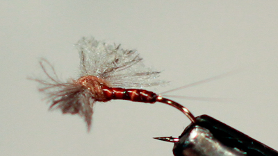 Dandy Reiner: Rusty Spinner