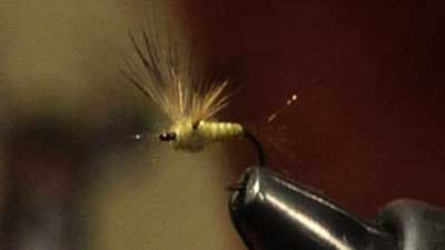 Wayne Luallen: V-Wing Mayfly