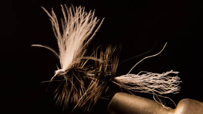 Willy Self: Double G